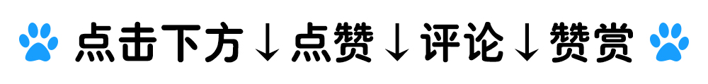 666/content/1808281705245051980.jpg