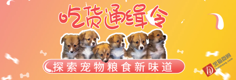 1/content/2504291924315708319new.png
