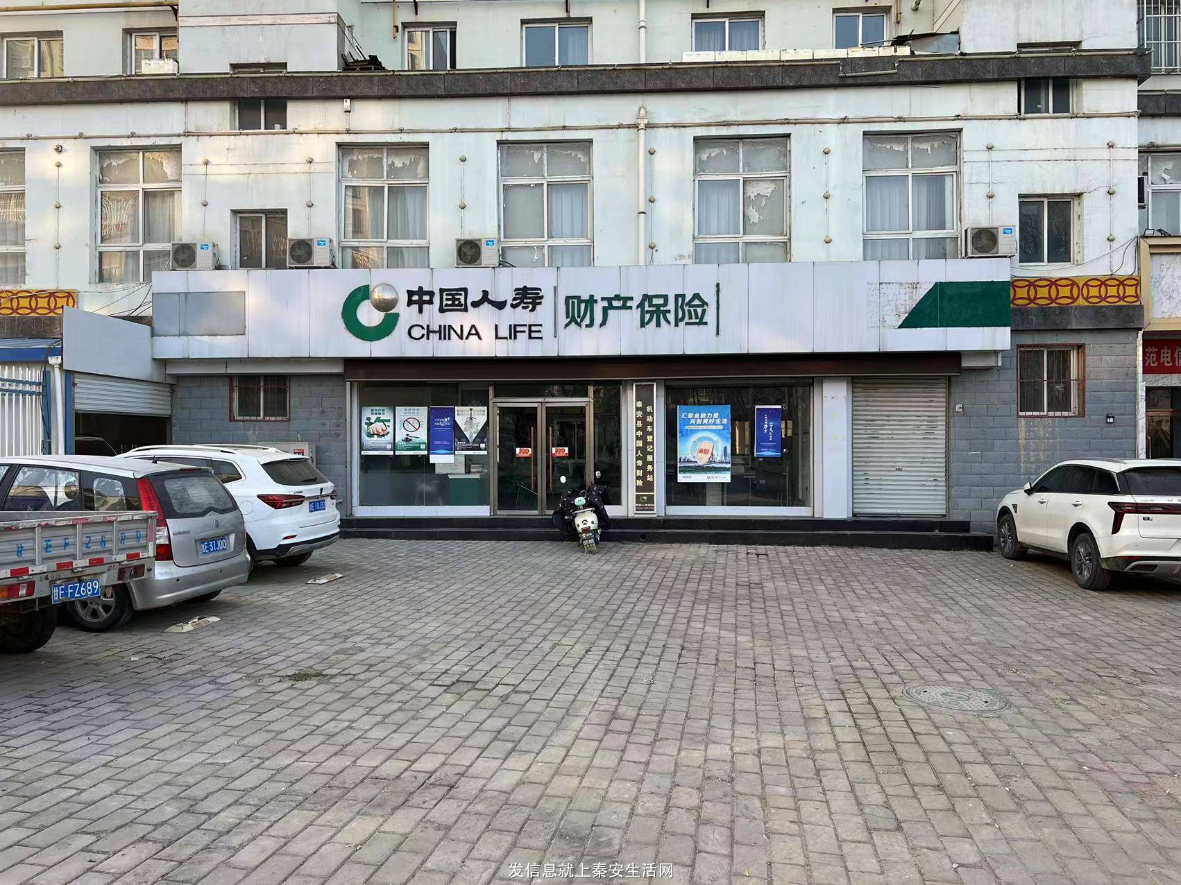 人寿财险