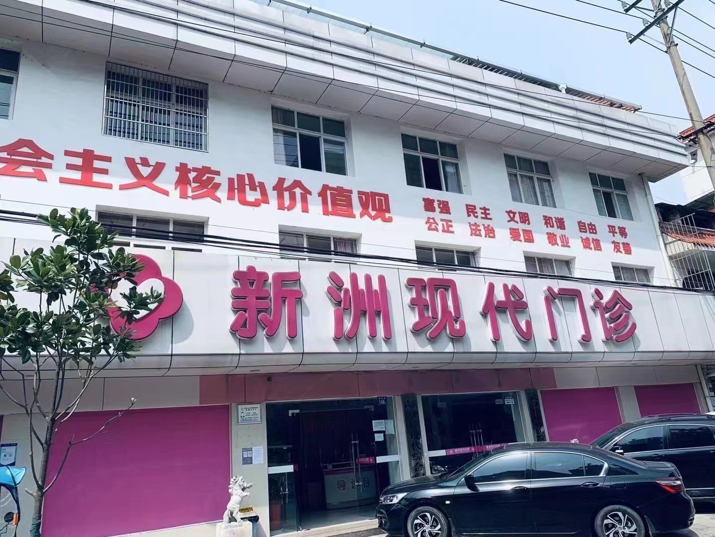 新洲在线
